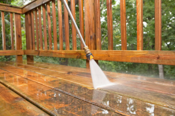 Animal Enclosure Cleaning in Pantego, TX